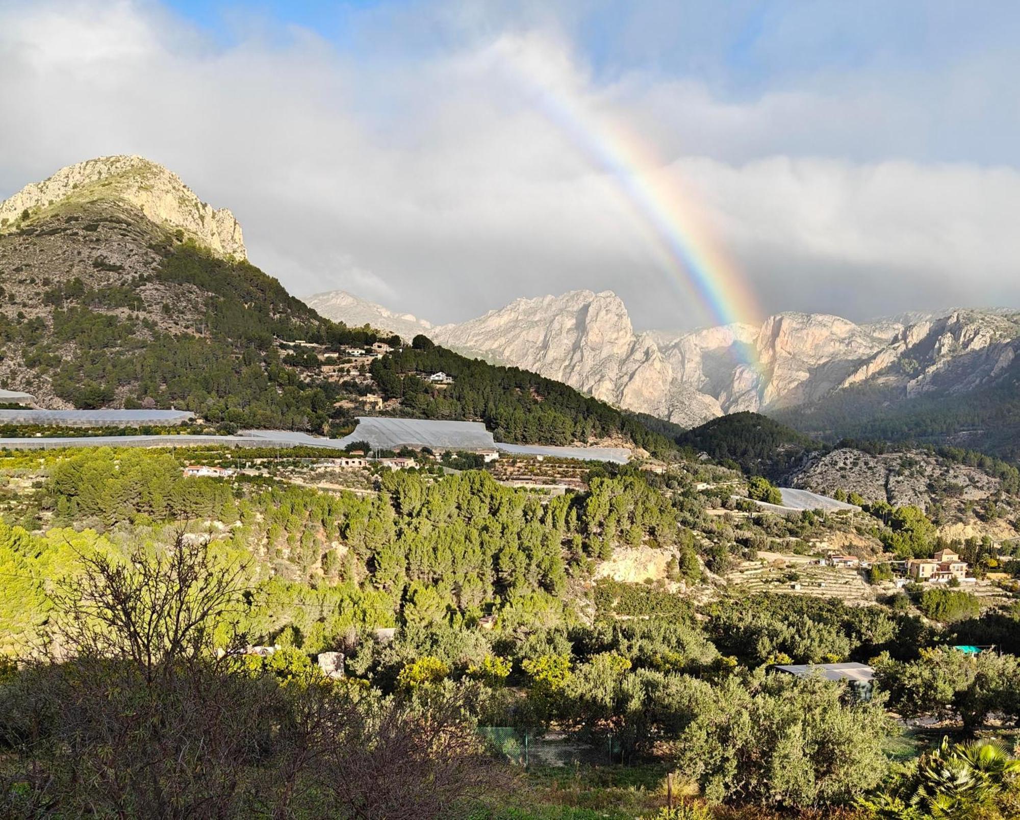 Finca Oliva Bolulla Eksteriør billede